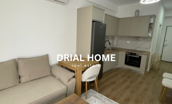 Apartament me qera 1+1 KADIU<span class="title_detail">Apartament for rent në Ali Demi, Tiranë</span>