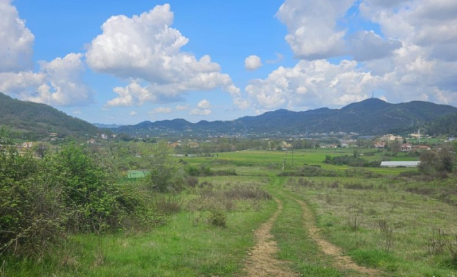 SHITET TOKE NE PETRELE<span class="title_detail">Shtëpi for sale në Albania</span>