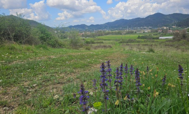 SHITET TOKE NE PETRELE<span class="title_detail">Shtëpi for sale në Albania</span>