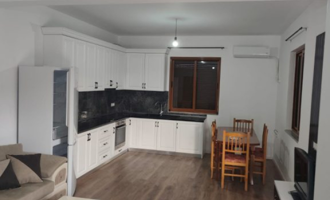 APARTAMENT ME QIRA NE LINZE<span class="title_detail">Vilë for rent në Tiranë, Albania</span>