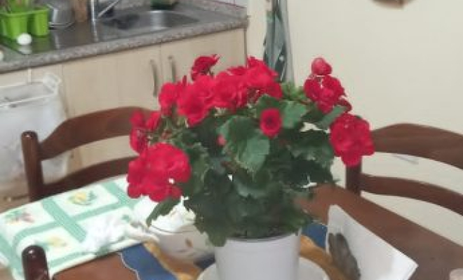 SHITET APARTAMENT 2+1 NE POGRADEC<span class="title_detail">Apartament for sale në Pogradec, Albania</span>